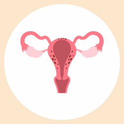 Endometrial tissue