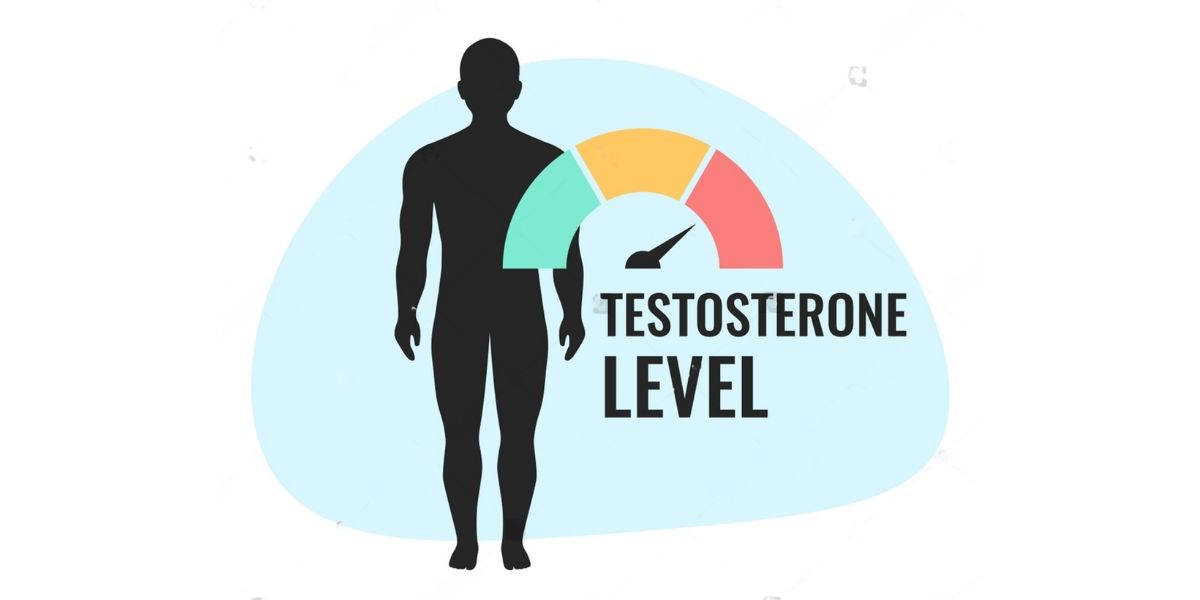 Signs of Low Testosterone Levels Every Man Should Know - Vansh IVF &  Hospital