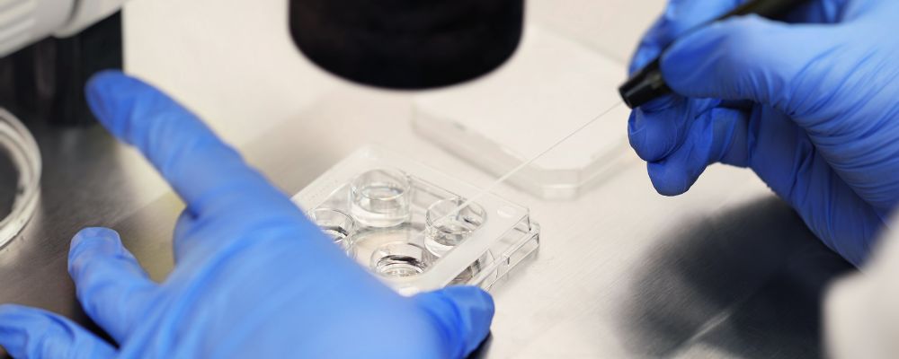 How Many IVF Cycles Are Safe?