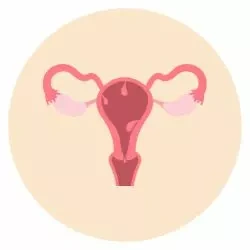 Abnormal Uterine Bleeding
