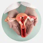 Hysteroscopy