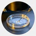 ivf treatment