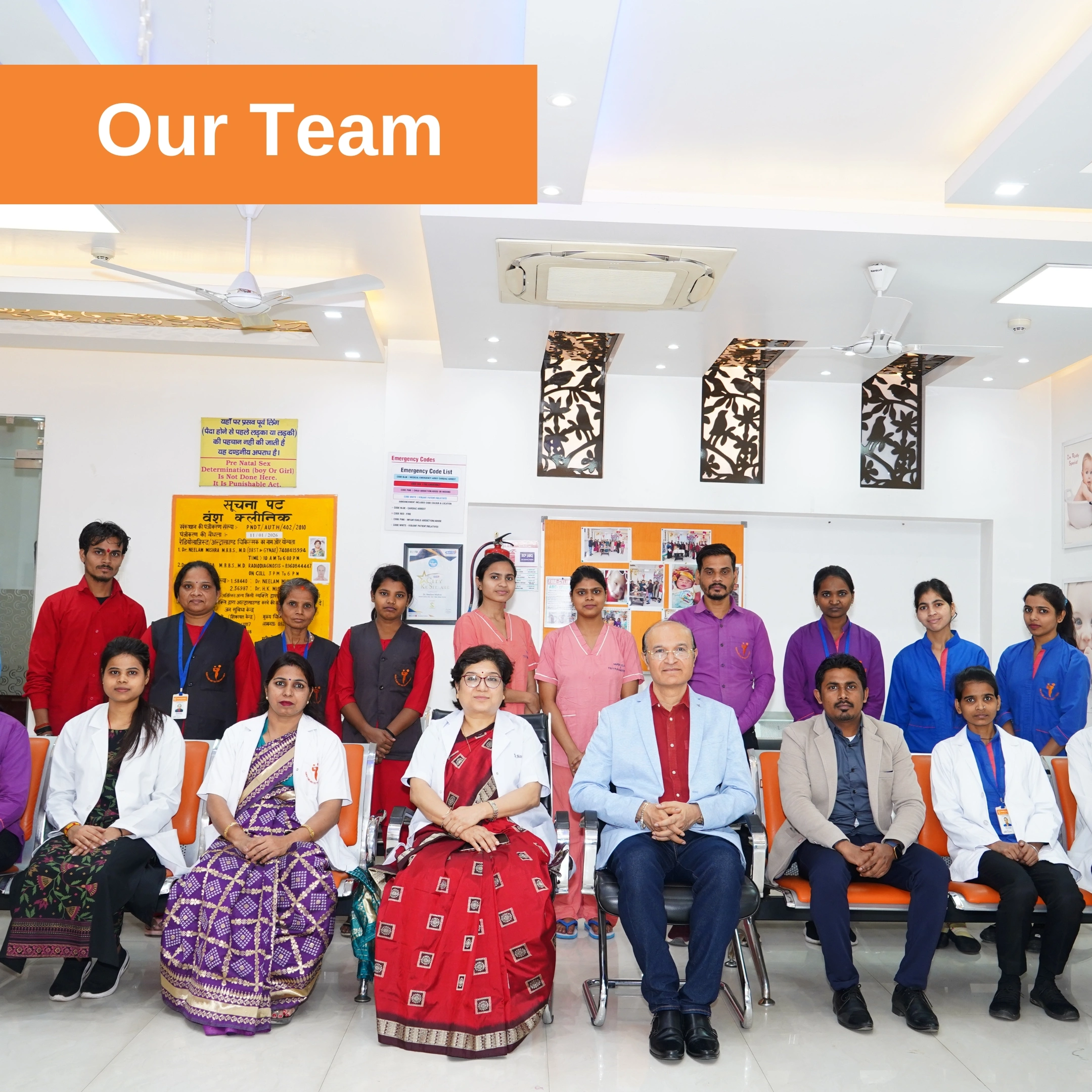 Our Team