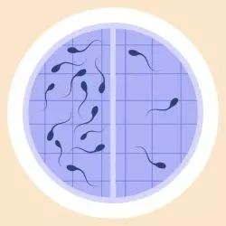 low sperm count