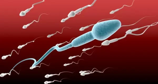 male infertility