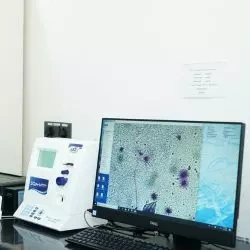 semen analysis